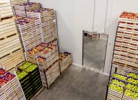 Luchtkoelers - frico